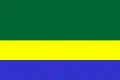 Flag of Medio Baudó