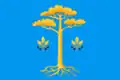 Flag of Voronovskaya