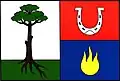 Flag of Nová Ves u Chýnova