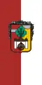 Flag of Pácin