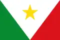 Flag of Páramo, Santander