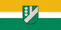 Flag of Pļaviņas Municipality