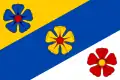 Flag of Plavsko