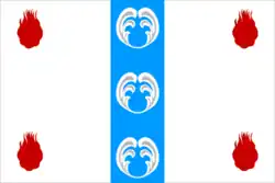 Flag of Poddorsky District
