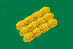 Flag of Pudozh