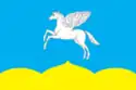Flag of Pushkinskiye Gory