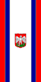 Flag of Radlje ob Dravi
