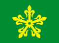 Flag of Re Municipality