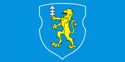Flag of Slonim