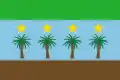 Flag of Salazar de las Palmas