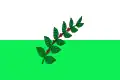 Flag of San Juan de Rioseco