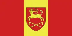 Flag of Staryya Darohi district