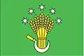 Flag of Strukov