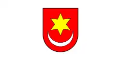Flag of Sveti Ivan Zelina