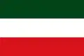 Flag of Tame, Arauca