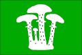 Flag of Václavy