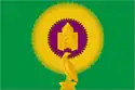 Flag of Varnensky District