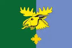 Flag of Vazhiny