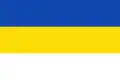 Flag of Velešín