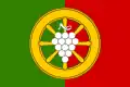Flag of Veletiny