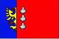 Flag of Vendryně