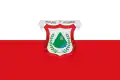 Flag of Venecia, Antioquia
