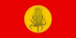 flag