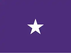 Flag of a United States Army Chaplain's Corps Brigadier General