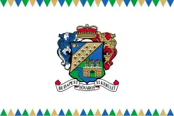 Flag of 11th District of Budapest