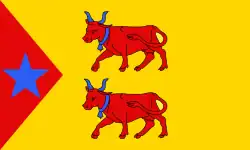 flag