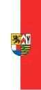 Flag of Sonneberg (variant)