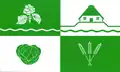 Flag of Schülp