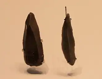 Flint stone points, Boqer Tahtit Cave (Ein Avdat) and el‑Wad Cave, 50000&nbsp;– 28000&nbsp;BP (Israel Museum)