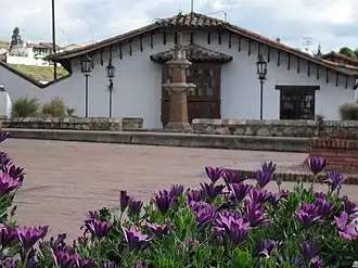 Flowers and park