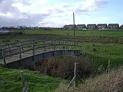Oare Meadow