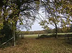 Bentley Station Meadow