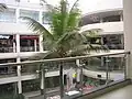 Nexus Whitefield Mall (Formerly Forum Value Mall)