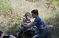 Fox health check at Santa Cruz Island