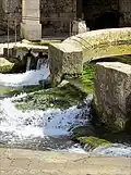 Flow of the Fosse Dionne