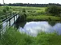 Freeman's Marsh