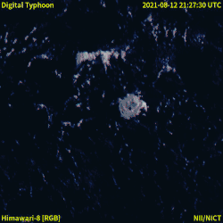 Himawari-8 satellite images of the August 12 to August 13, 2021 eruption of Fukutoku-Okanoba