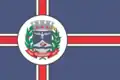 Flag of Guarani
