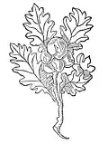 Chapter 203. Galla – galopffel