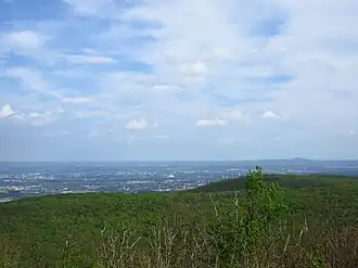 Vista