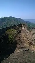 Fort wall