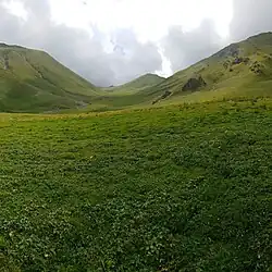 Gidara Bugyal