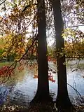 Passaic River