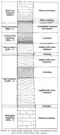 Glacier Bay Geologic column