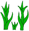 Official seal of Acatlán