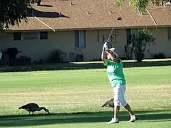 Golfing in Sun City
